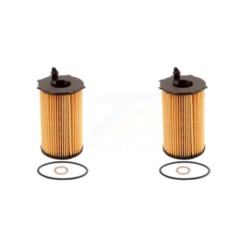 Engine Cartridge Oil Filter (2 Pack) For Kia Sorento Hyundai Santa Fe Sedona XL Cadenza K56-100031