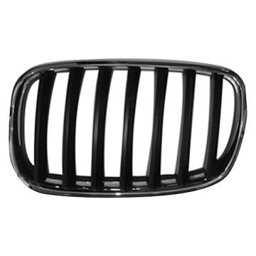 Grille Assembly Left E70/E71 for BMW X5 X6