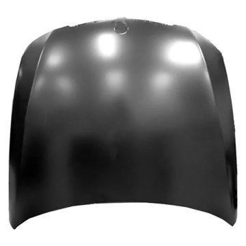 Hood Panel Assembly for BMW 325i 330i