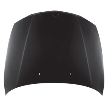 Hood Panel Assembly E82/E88 To 7-12 CAPA for BMW 128i 135i