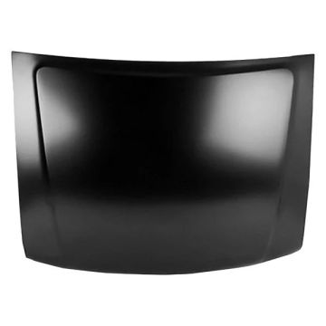 Hood Panel Assembly for Ford Explorer Mercury Mountaineer