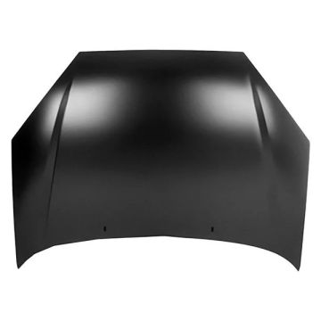 Hood Panel Assembly Aluminum for Ford Focus 2000-2004