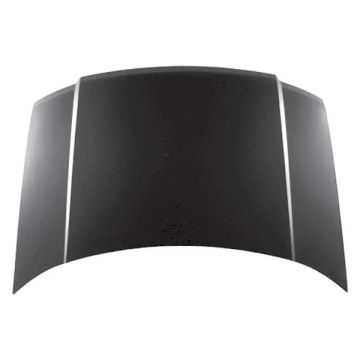 Hood Panel Assembly for Ford Freestyle 2005-2007
