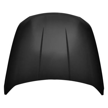 Hood Panel Assembly for Ford Taurus 2010-2012