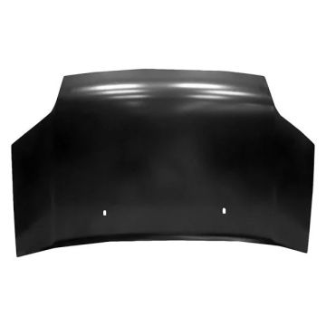 Hood Panel Assembly for Ford Transit Connect 2010-2013