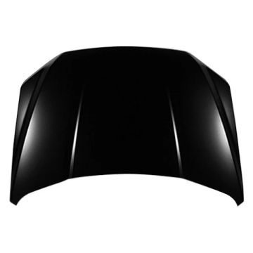 Hood Panel Assembly Aluminum for Ford F-150 2015-2020