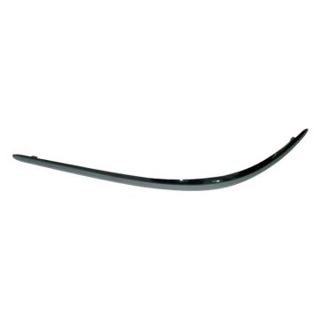 Bumper Cover Molding Rear Left for Buick Allure LaCrosse