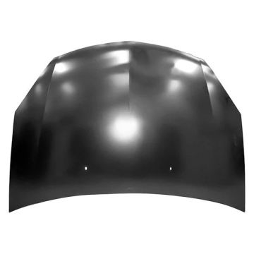 Hood Panel Assembly for Saturn Aura 2007-2009