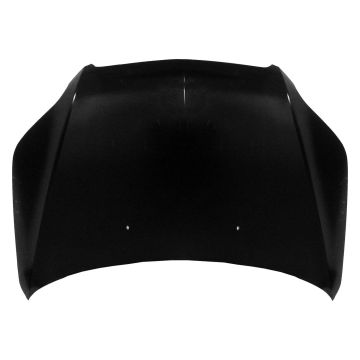 Hood Panel Assembly CAPA for Chevrolet Aveo5 Pontiac G3