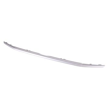 Grille Molding Lower CAPA for Ford EcoSport SE 2018-2022