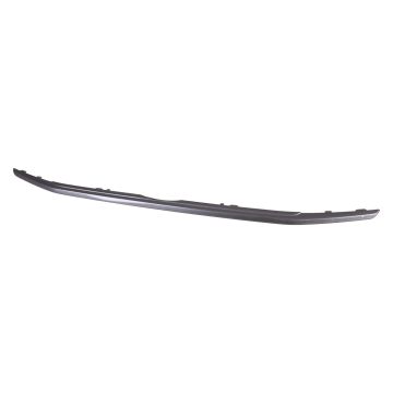 Grille Molding Lower for Ford EcoSport SES 2018-2022