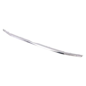 Grille Molding Lower Titanium CAPA for Ford EcoSport 2018-2022
