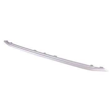 Grille Molding Upper CAPA for Ford EcoSport SE 2018-2022