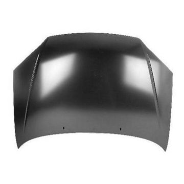 Hood Panel Assembly for Ford Focus 2005-2007