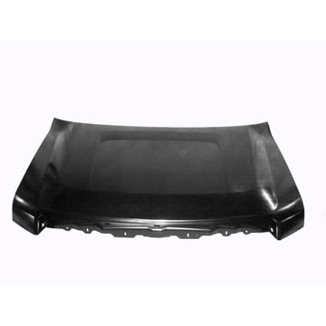 Hood Panel Assembly Aluminum CAPA for Ford F-150 2009-2014
