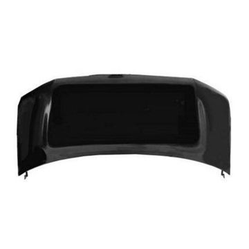 Hood Panel Assembly for Chevrolet Express 1500 Express 2500 Express 3500 GMC Savana 1500 Savana 2500 Savana 3500