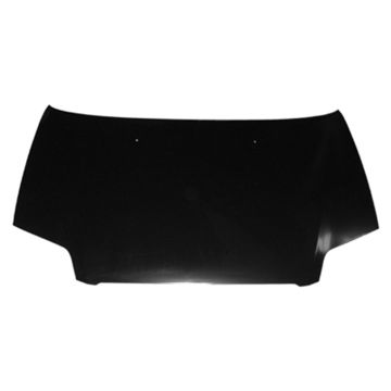 Hood Panel Assembly (From 2007) for Chevrolet Aveo Pontiac Wave